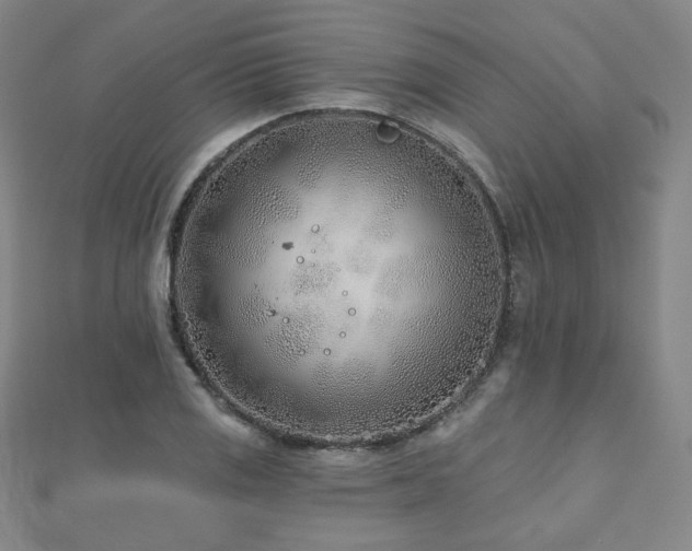 X0000112481125200908171214