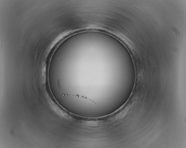 X0000112481126200908171214