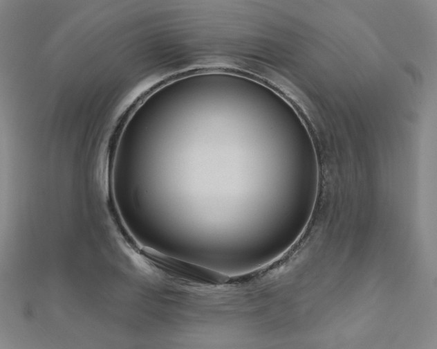 X0000112481127200908171214