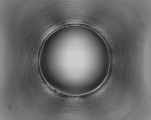 X0000112481129200908171214