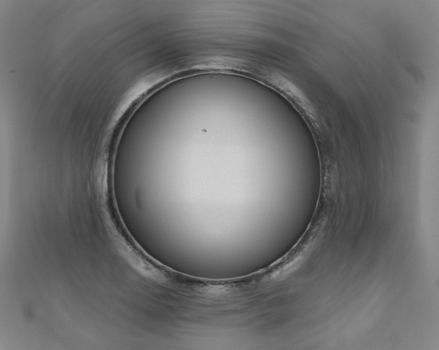 X0000112481130200908171214
