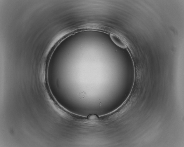 X0000112481131200908171214