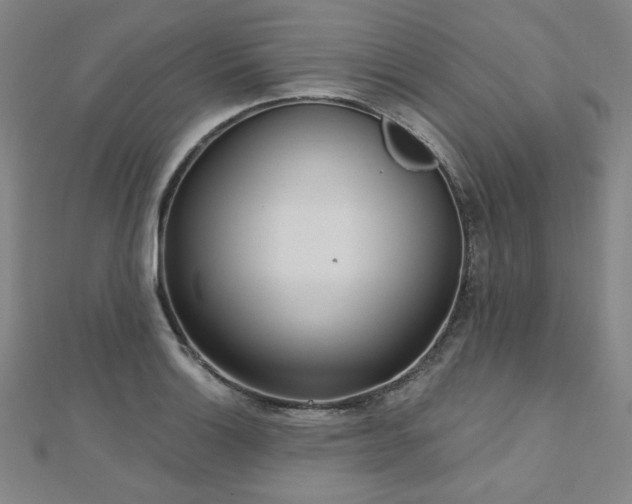 X0000112481132200908171214