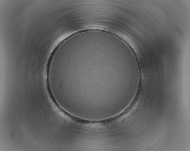 X0000112481133200908171214