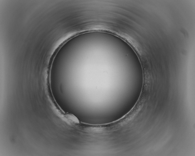 X0000112481134200908171214