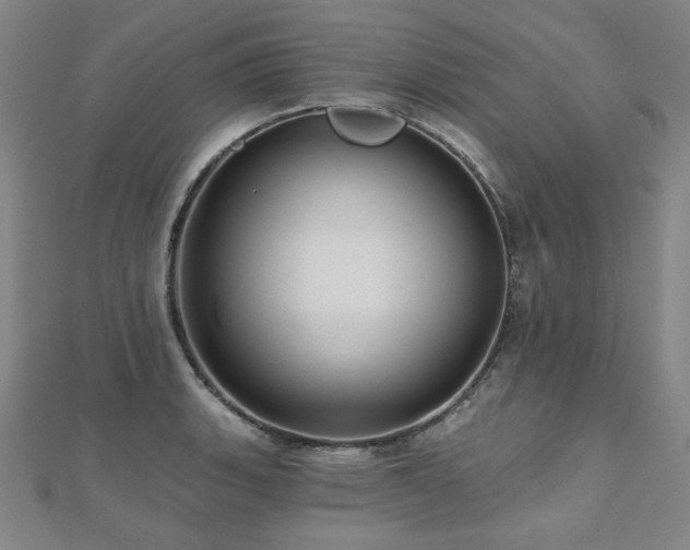 X0000112481135200908171214