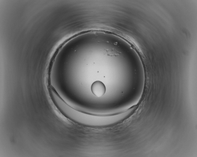 X0000112481136200908171214