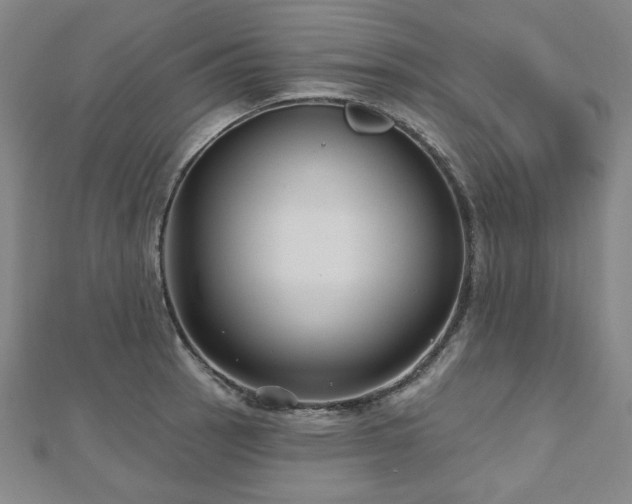 X0000112481137200908171214