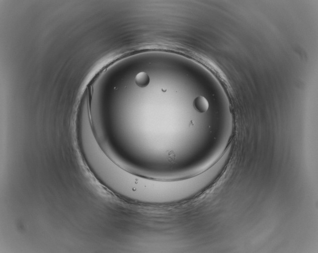 X0000112481138200908171214