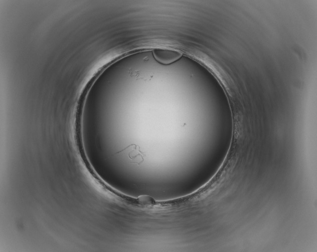 X0000112481139200908171214