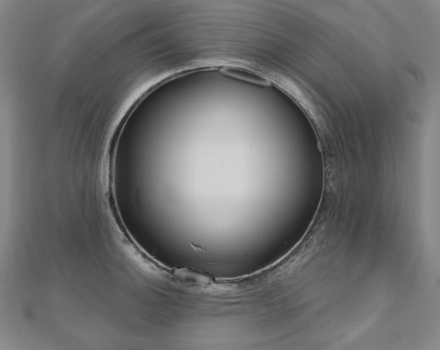 X0000112481140200908171214