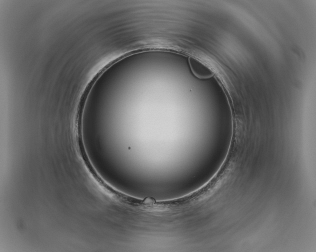 X0000112481141200908171214