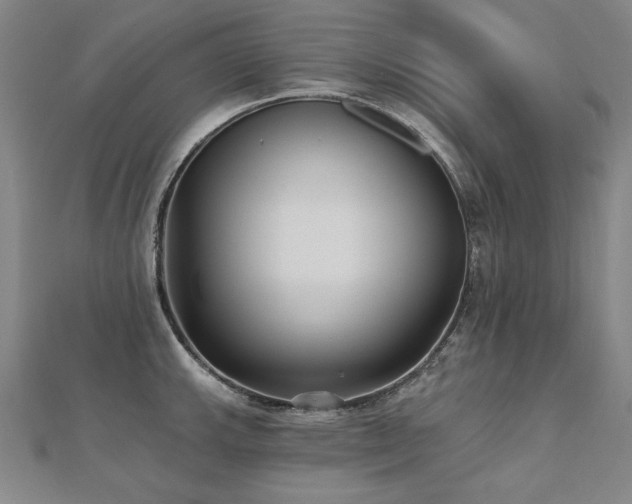 X0000112481143200908171214