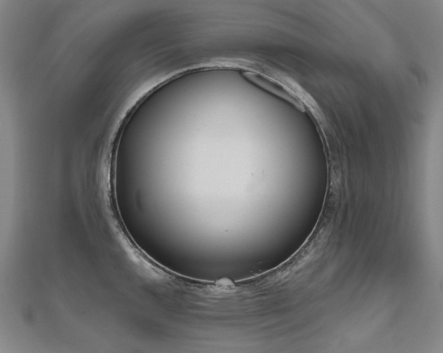 X0000112481144200908171214