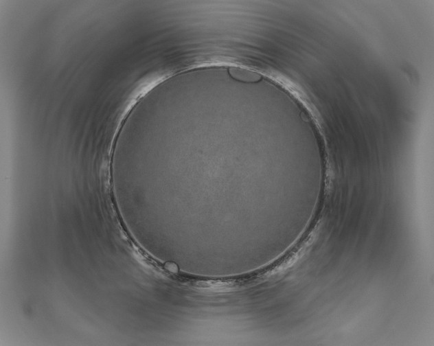 X0000112481145200908171214