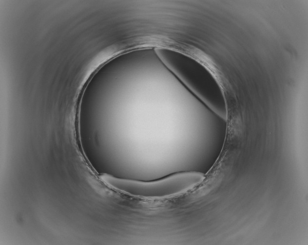 X0000112481146200908171214