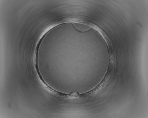 X0000112481147200908171214