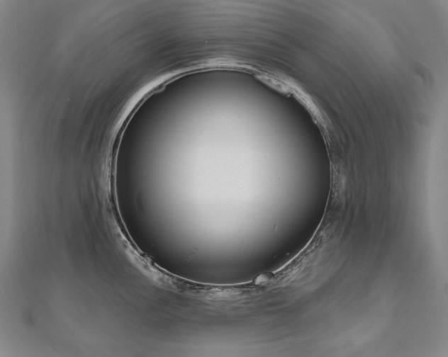 X0000112481148200908171214