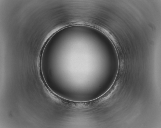 X0000112481149200908171214