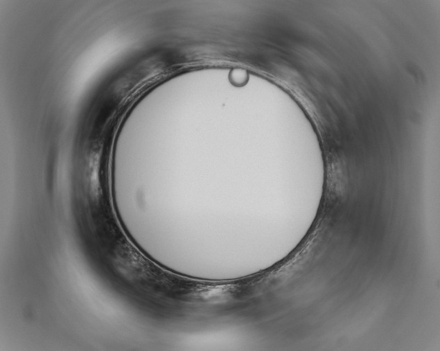 X0000112481150200908171214
