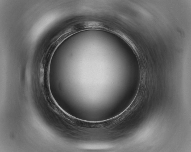 X0000112481151200908171214