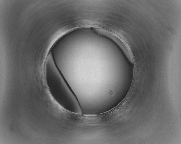 X0000112481152200908171214