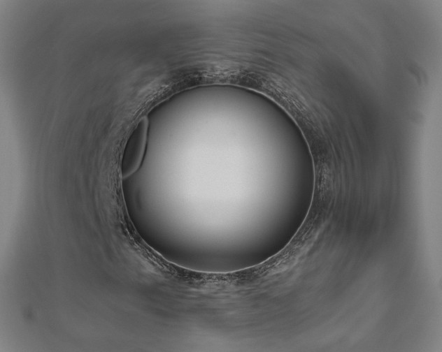 X0000112481153200908171214
