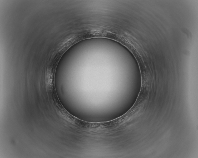 X0000112481154200908171214