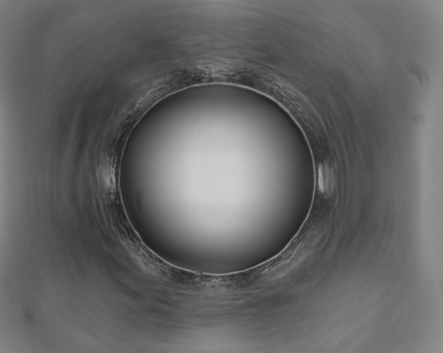 X0000112481155200908171214