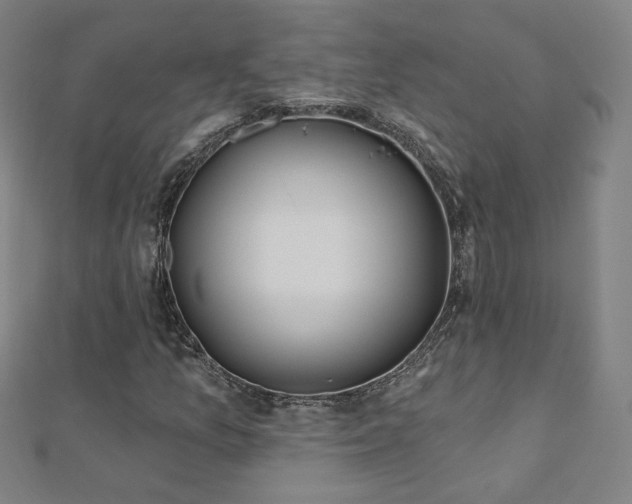 X0000112481157200908171214