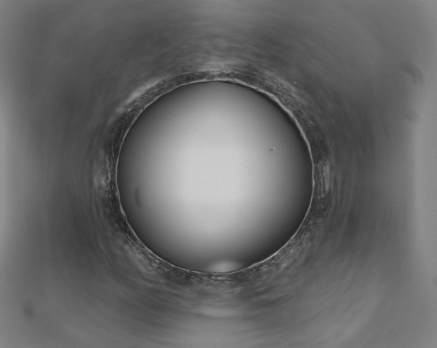 X0000112481158200908171214