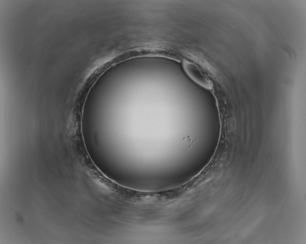 X0000112481160200908171214