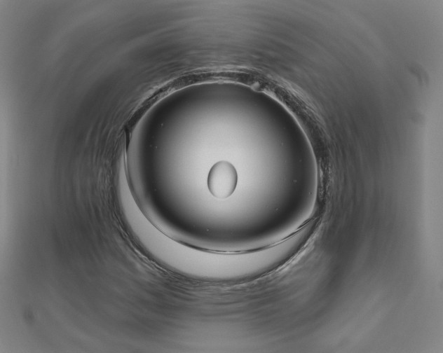 X0000112481161200908171214