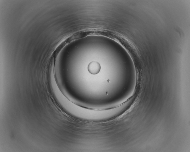 X0000112481162200908171214
