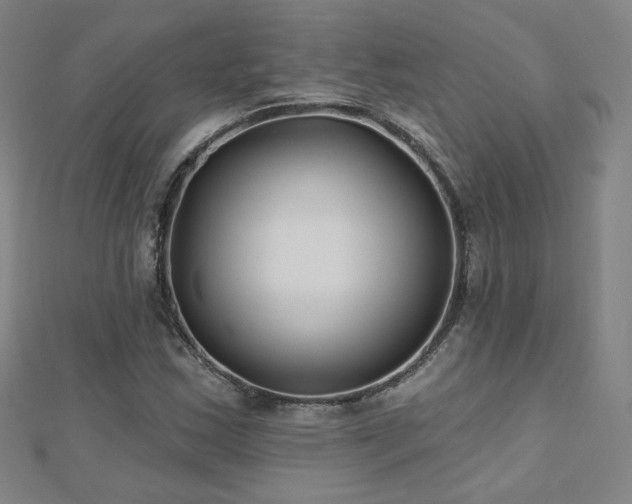 X0000112481163200908171214