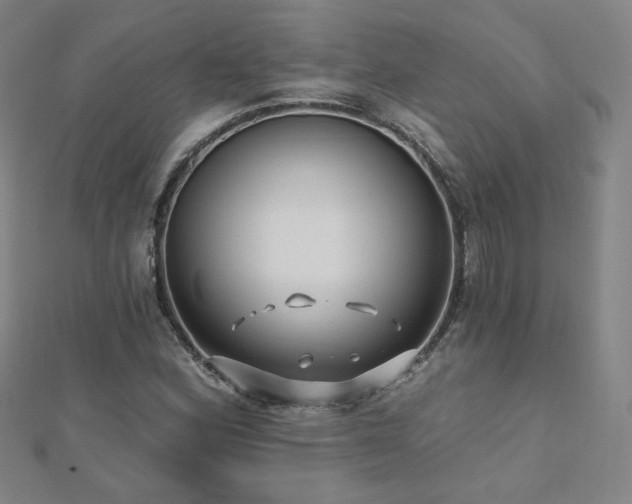 X0000112481164200908171214