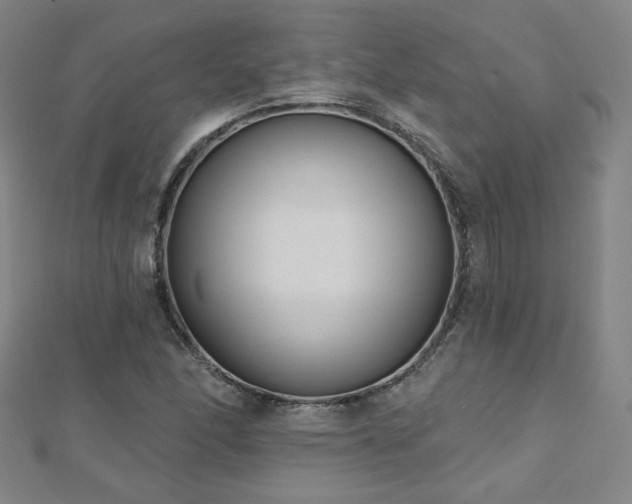X0000112481166200908171214