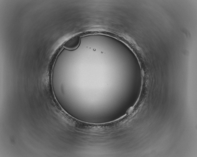 X0000112481167200908171214