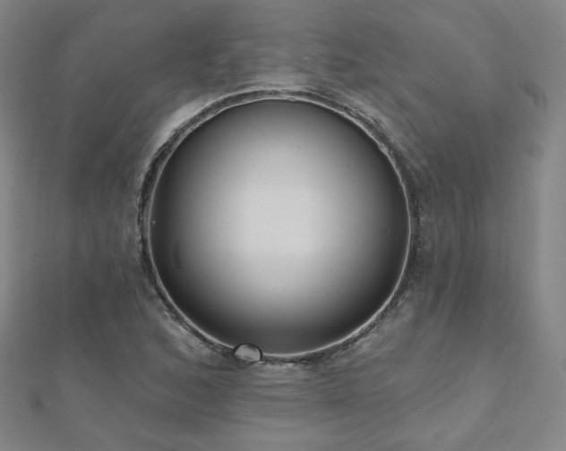 X0000112481168200908171214