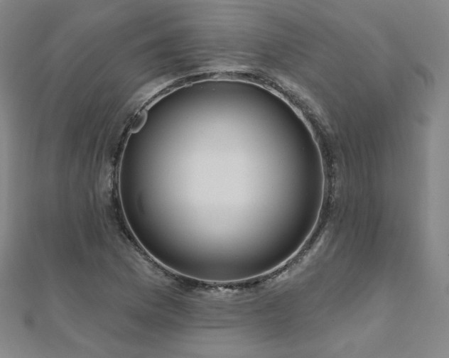 X0000112481169200908171214