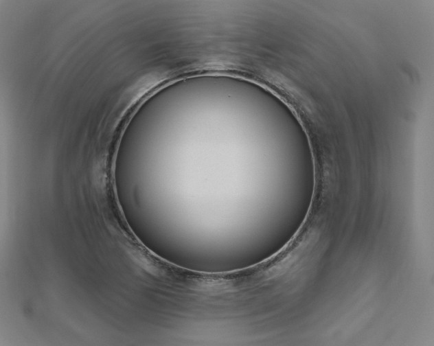 X0000112481170200908171213