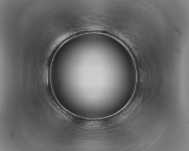 X0000112481171200908171213