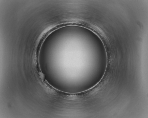 X0000112481172200908171213