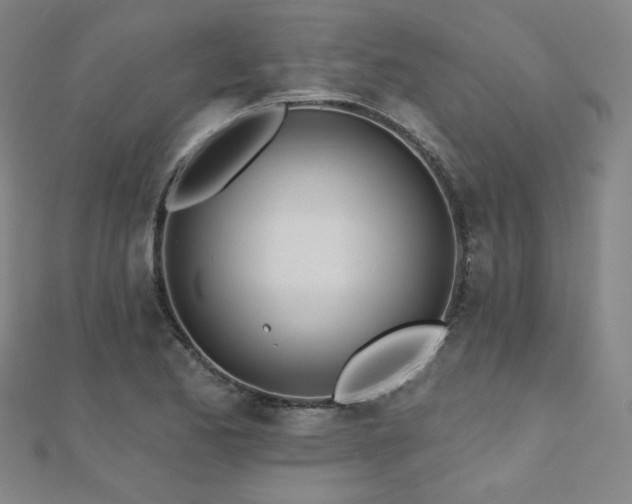X0000112481173200908171213