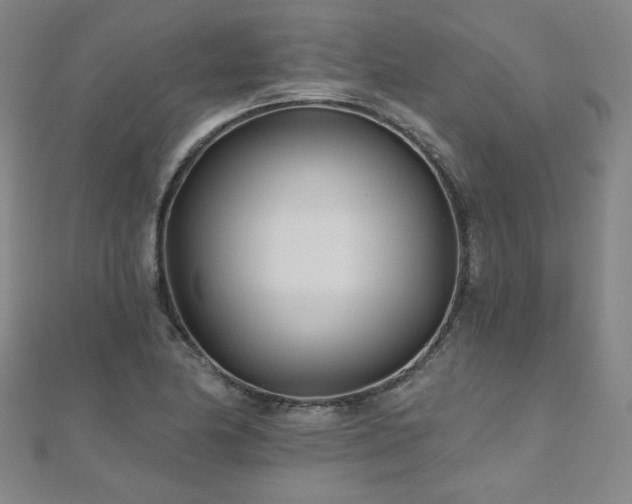 X0000112481174200908171213