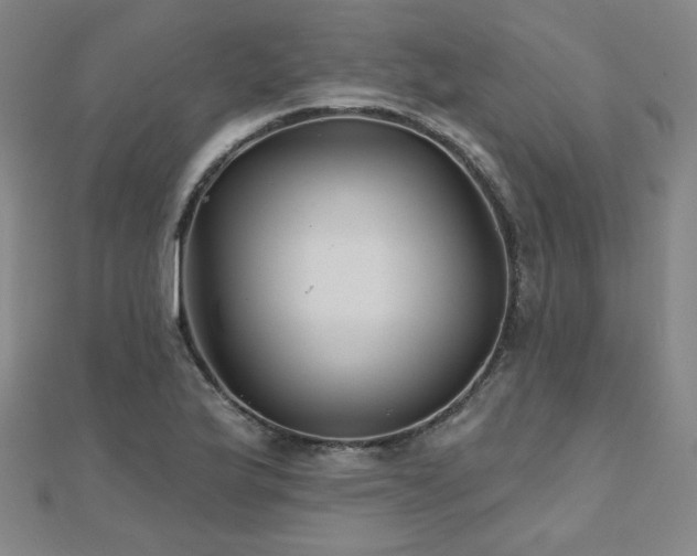 X0000112481175200908171213