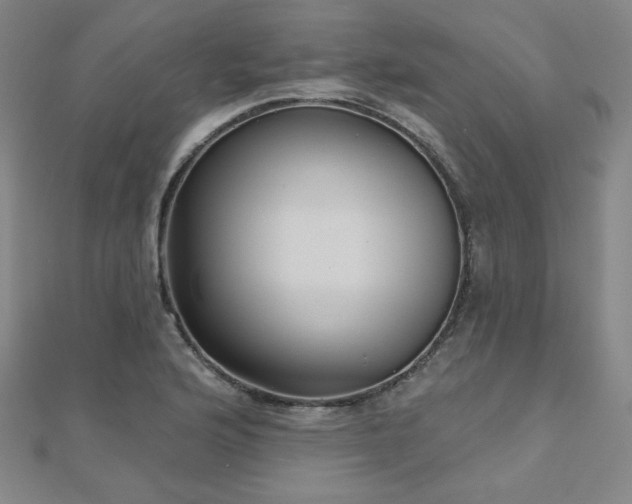 X0000112481176200908171213