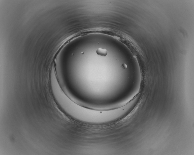 X0000112481177200908171213