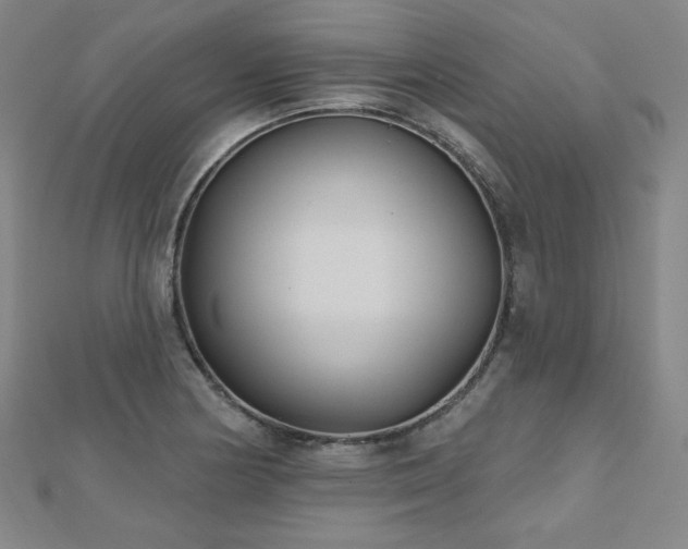 X0000112481178200908171213