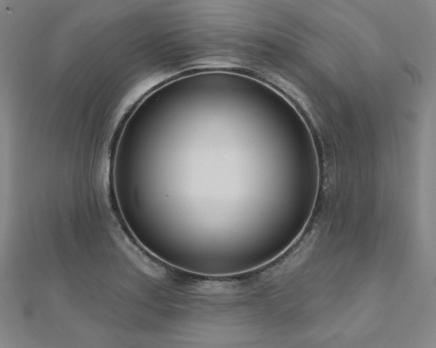 X0000112481179200908171213